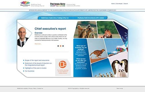 Multichoice Financials 2013