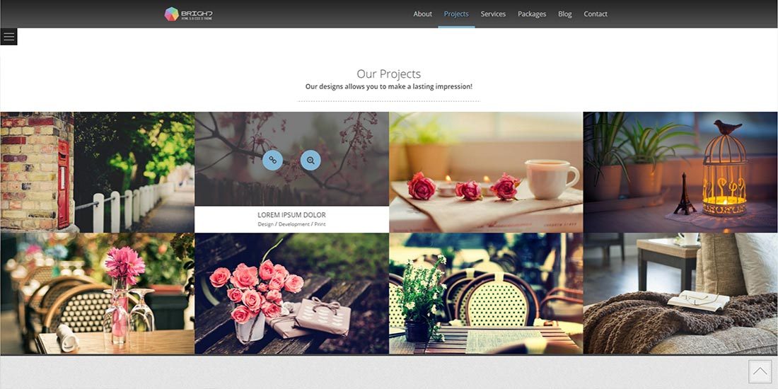 Bright Theme | Image 530