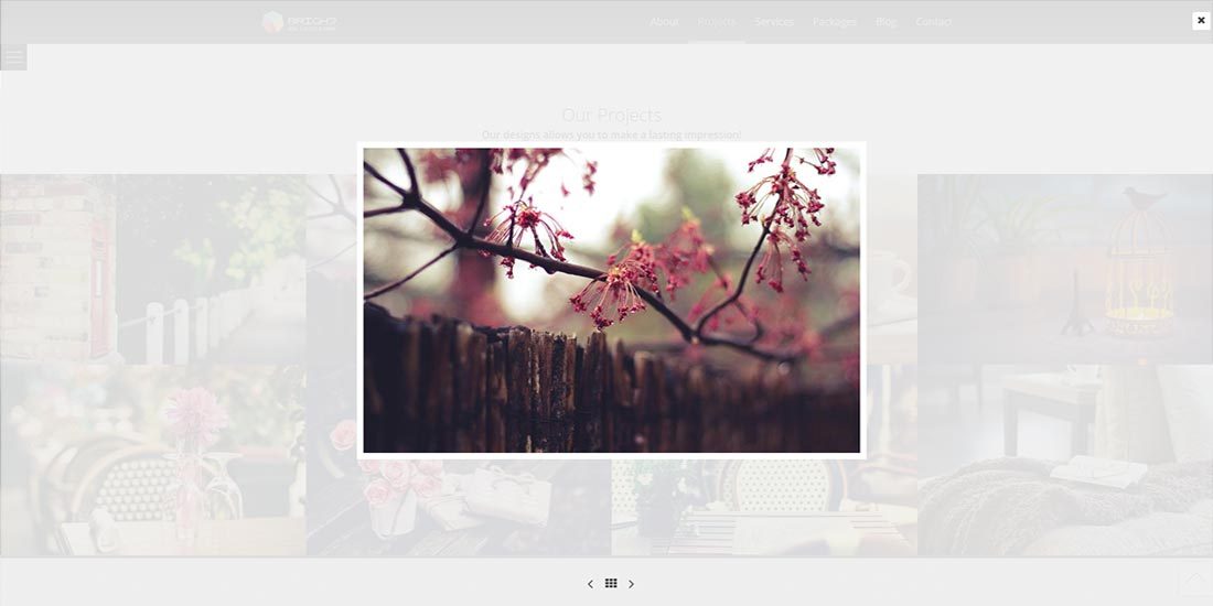 Bright Theme | Image 531