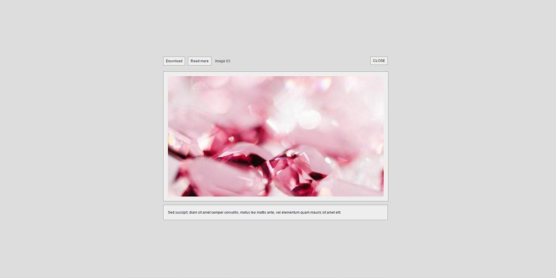 Infinite Popup Plugin | Image 550