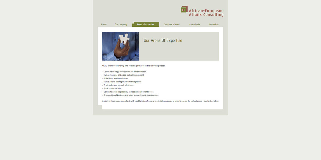 African-European Affairs Consulting | Image 595