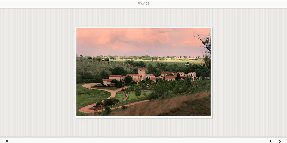 Volkwyn Wedding | Image 671